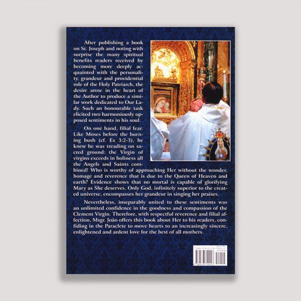 Mary Most Holy Vol 1 back cover